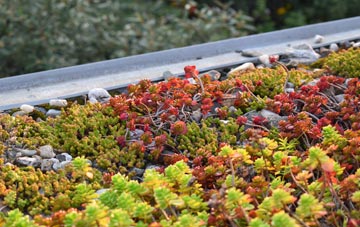the cost of Backhill Of Fortrie green roof installation