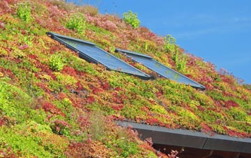 Backhill Of Fortrie living roof systems